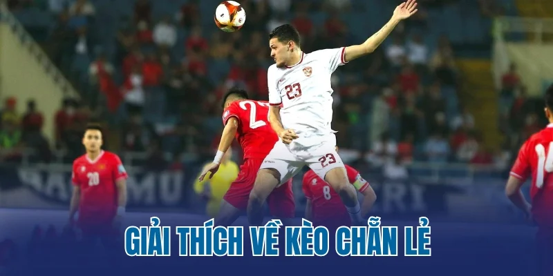 Giải thích về kèo chẵn lẻ