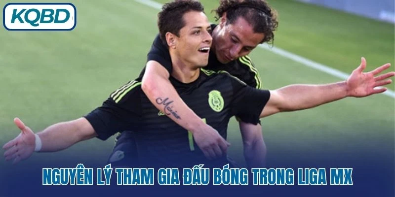 Nguyên lý tham gia đấu bóng trong Liga MX