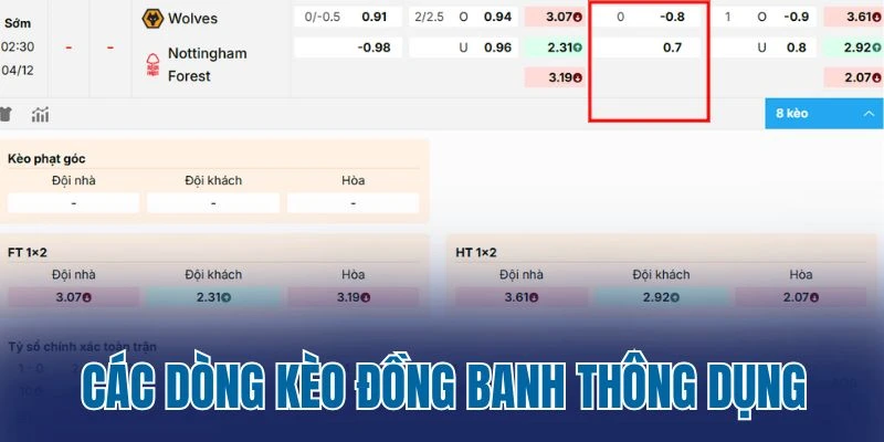 Các dòng kèo đồng banh thông dụng