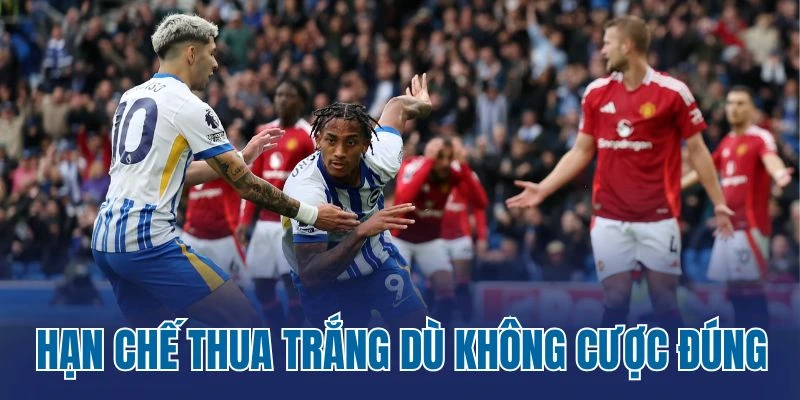 Hạn chế thua trắng dù không cược đúng