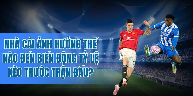 Bỏ túi các mẹo khi thấy tỷ lệ kèo thay đổi